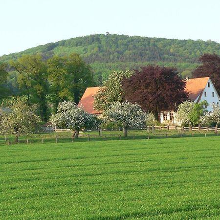 Borgholzhausen Ferienwohnung An Der Obstwiese מראה חיצוני תמונה