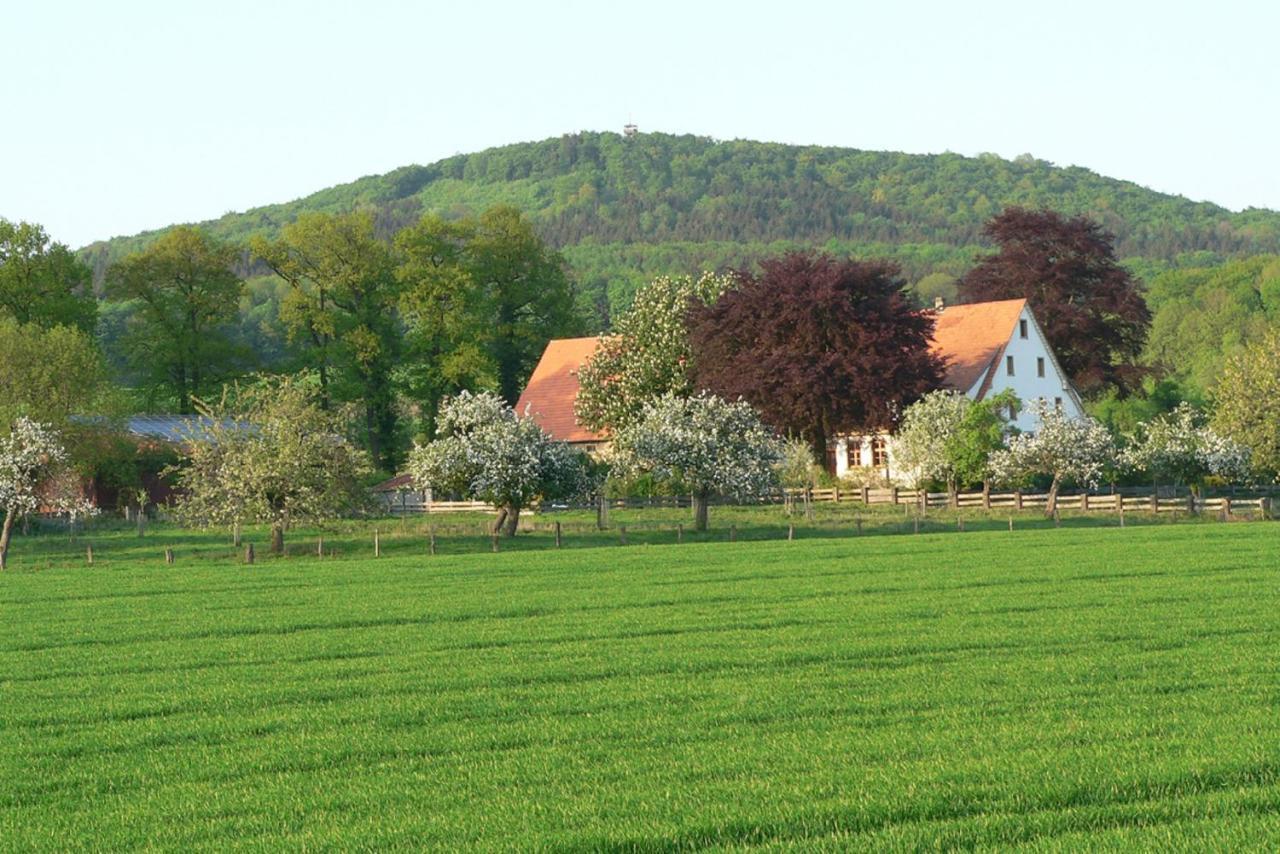 Borgholzhausen Ferienwohnung An Der Obstwiese מראה חיצוני תמונה