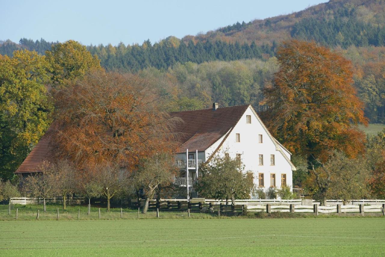 Borgholzhausen Ferienwohnung An Der Obstwiese מראה חיצוני תמונה